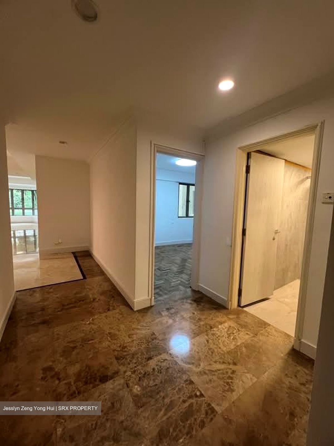 Cavenagh Lodge (D9), Apartment #602939371